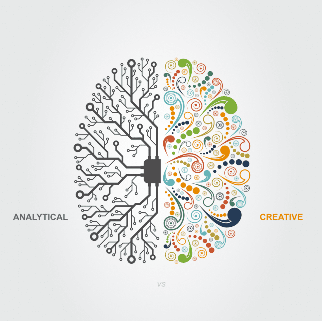 illustration of analytical and creative parts of the brain to use for executive placement process