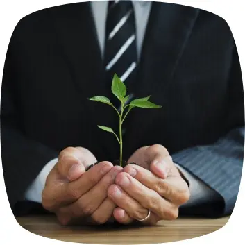 A person holding a plant in their hands.